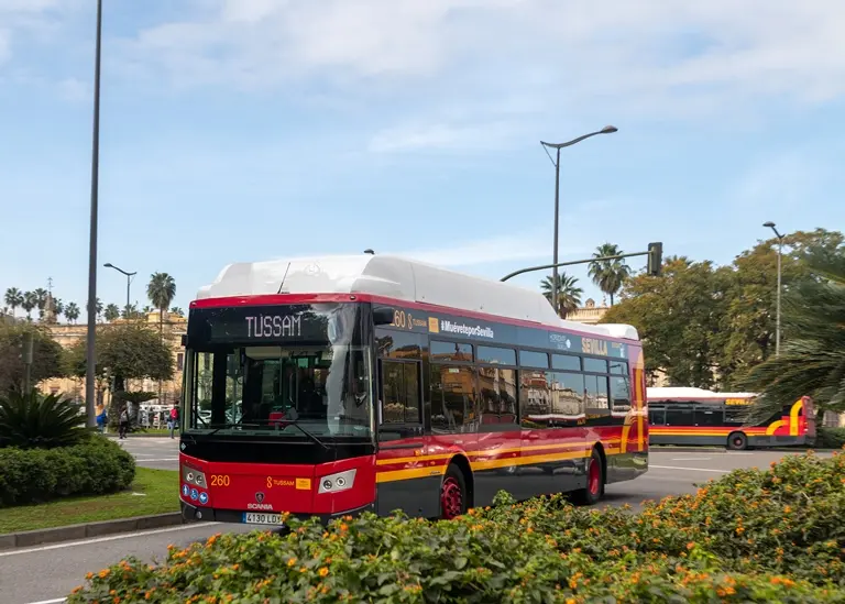 atencion al cliente tussam prado - Cómo se llaman los autobuses de Sevilla