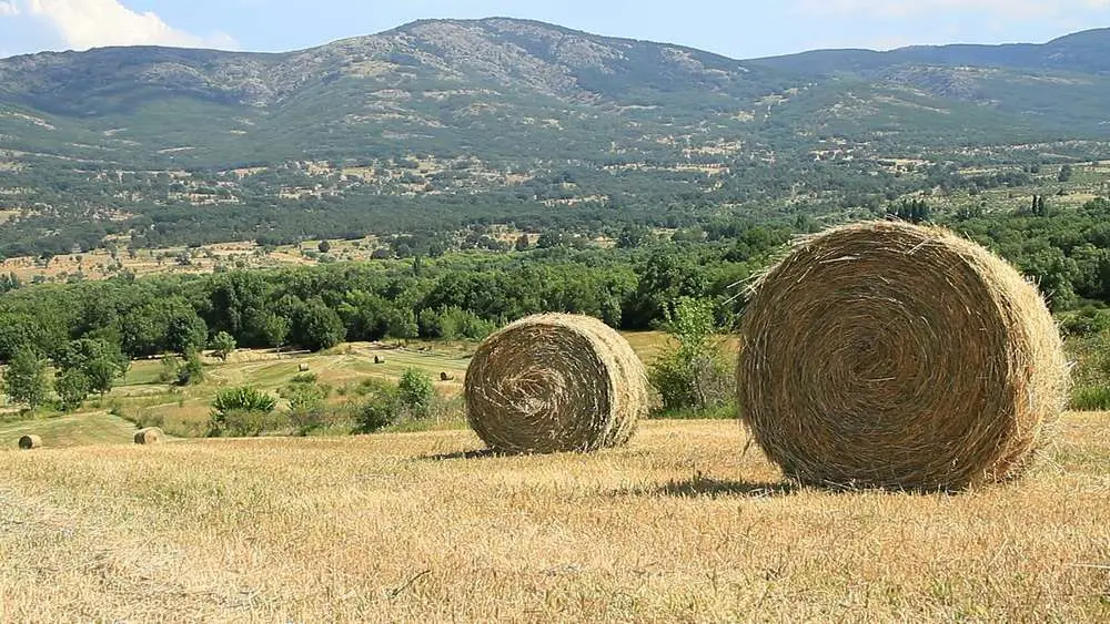 prado de siega - Qué son los prados de siega