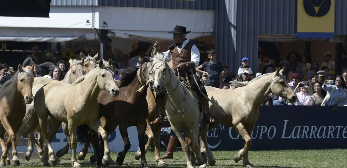 criolla del prado - Quién ganó las Criollas del Prado 2023